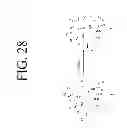 Fig. 33 - KDR and VEGF/KDR binding peptides and their use in diagnosis and therapy