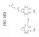 Fig. 42 - KDR and VEGF/KDR binding peptides and their use in diagnosis and therapy