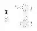 Fig. 43 - KDR and VEGF/KDR binding peptides and their use in diagnosis and therapy