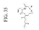 Fig. 45 - KDR and VEGF/KDR binding peptides and their use in diagnosis and therapy