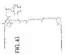 Fig. 53 - KDR and VEGF/KDR binding peptides and their use in diagnosis and therapy
