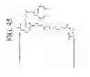 Fig. 55 - KDR and VEGF/KDR binding peptides and their use in diagnosis and therapy