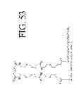 Fig. 63 - KDR and VEGF/KDR binding peptides and their use in diagnosis and therapy