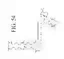 Fig. 64 - KDR and VEGF/KDR binding peptides and their use in diagnosis and therapy