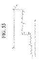 Fig. 65 - KDR and VEGF/KDR binding peptides and their use in diagnosis and therapy