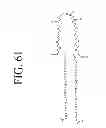 Fig. 71 - KDR and VEGF/KDR binding peptides and their use in diagnosis and therapy