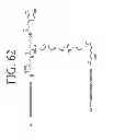 Fig. 72 - KDR and VEGF/KDR binding peptides and their use in diagnosis and therapy