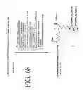 Fig. 79 - KDR and VEGF/KDR binding peptides and their use in diagnosis and therapy
