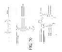 Fig. 81 - KDR and VEGF/KDR binding peptides and their use in diagnosis and therapy