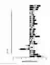 Fig. 08 - Method for ameliorating radiation exposure effects with alpha-1 antitrypsin