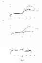 Fig. 06 - Conjugated molecules comprising a peptide derived from the CD4 receptor coupled to a polyanionic polypeptide for the treatment of AIDS