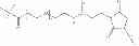 Fig. 09 - Conjugated molecules comprising a peptide derived from the CD4 receptor coupled to a polyanionic polypeptide for the treatment of AIDS