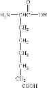 Fig. 32 - Conjugated molecules comprising a peptide derived from the CD4 receptor coupled to a polyanionic polypeptide for the treatment of AIDS