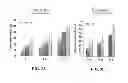 Fig. 04 - Cosmetic compositions for increasing bioavailability of the active compounds baicalin and/or vitamin C