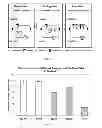 Fig. 02 - Edible composition