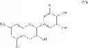 Fig. 21 - APPLES WITH HIGH POLYPHENOLIC CONTENT