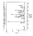 Fig. 07 - Pharmaceutical compositions comprising forms of 5-azacytidine