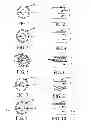 Fig. 02 - COMPOSITIONS AND METHODS FOR TREATING OR PREVENTING DISEASES OF BODY PASSAGEWAYS