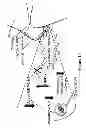 Fig. 11 - OSTEOARTHRITIS DIET FORMULATIONS