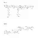 Fig. 02 - Biopolymer system for tissue sealing