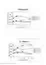 Fig. 06 - Marker for determination of sensitivity to anticancer agent
