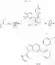 Fig. 1009 - GDF-8 inhibitors
