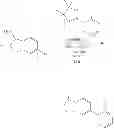 Fig. 1035 - GDF-8 inhibitors