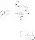 Fig. 1037 - GDF-8 inhibitors