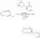 Fig. 1045 - GDF-8 inhibitors