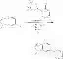 Fig. 1052 - GDF-8 inhibitors