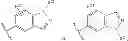 Fig. 29 - GDF-8 inhibitors