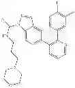 Fig. 656 - GDF-8 inhibitors
