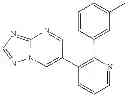 Fig. 941 - GDF-8 inhibitors