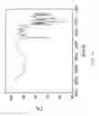 Fig. 15 - Crystallization method and bioavailability