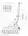 Fig. 40 - Crystallization method and bioavailability
