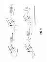 Fig. 02 - Triptolide prodrugs