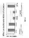 Fig. 05 - Triptolide prodrugs