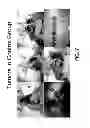 Fig. 08 - Triptolide prodrugs