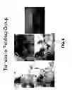 Fig. 10 - Triptolide prodrugs