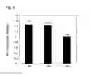 Fig. 07 - BRAIN FUNCTION IMPROVING AGENT