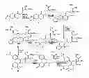Fig. 01 - STRUCTURAL MODIFICATION OF 19-NORPROGESTERONE I: 17-ALPHA-SUBSTITUTED-11-BETA-SUBSTITUTED-4-ARYL AND 21-SUBSTITUTED 19-NORPREGNADIENEDIONE AS NEW ANTIPROGESTATIONAL AGENTS
