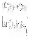 Fig. 04 - STRUCTURAL MODIFICATION OF 19-NORPROGESTERONE I: 17-ALPHA-SUBSTITUTED-11-BETA-SUBSTITUTED-4-ARYL AND 21-SUBSTITUTED 19-NORPREGNADIENEDIONE AS NEW ANTIPROGESTATIONAL AGENTS
