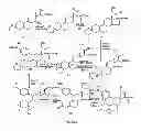 Fig. 05 - STRUCTURAL MODIFICATION OF 19-NORPROGESTERONE I: 17-ALPHA-SUBSTITUTED-11-BETA-SUBSTITUTED-4-ARYL AND 21-SUBSTITUTED 19-NORPREGNADIENEDIONE AS NEW ANTIPROGESTATIONAL AGENTS