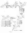Fig. 07 - STRUCTURAL MODIFICATION OF 19-NORPROGESTERONE I: 17-ALPHA-SUBSTITUTED-11-BETA-SUBSTITUTED-4-ARYL AND 21-SUBSTITUTED 19-NORPREGNADIENEDIONE AS NEW ANTIPROGESTATIONAL AGENTS