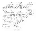 Fig. 09 - STRUCTURAL MODIFICATION OF 19-NORPROGESTERONE I: 17-ALPHA-SUBSTITUTED-11-BETA-SUBSTITUTED-4-ARYL AND 21-SUBSTITUTED 19-NORPREGNADIENEDIONE AS NEW ANTIPROGESTATIONAL AGENTS