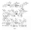 Fig. 10 - STRUCTURAL MODIFICATION OF 19-NORPROGESTERONE I: 17-ALPHA-SUBSTITUTED-11-BETA-SUBSTITUTED-4-ARYL AND 21-SUBSTITUTED 19-NORPREGNADIENEDIONE AS NEW ANTIPROGESTATIONAL AGENTS