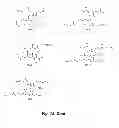 Fig. 04 - Treatment and prevention of mastitis