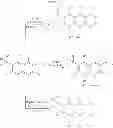 Fig. 71 - Methylene linked quinolinyl modulators of RORγt