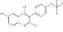 Fig. 174 - Phenyl linked quinolinyl modulators of RORγt