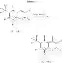 Fig. 55 - Phenyl linked quinolinyl modulators of RORγt